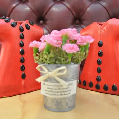 爱派克斯酒店 3* 伊斯坦布尔